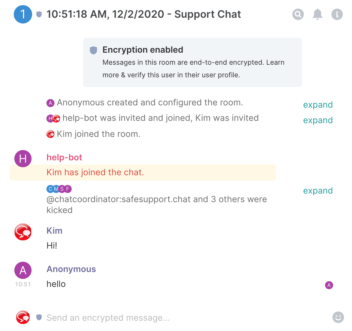 Screenshot of the facilitator's view of a chat session from the embedded chatbox